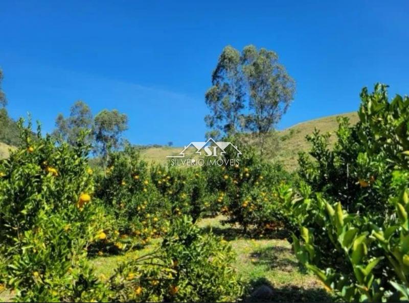 Fazenda à venda com 8 quartos, 1000m² - Foto 3