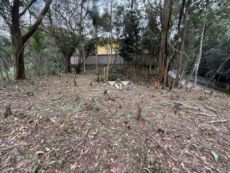 Terreno à venda, 2700m² - Foto 8