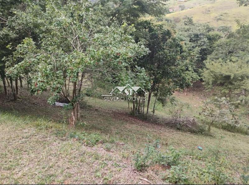 Terreno à venda, 217200m² - Foto 8