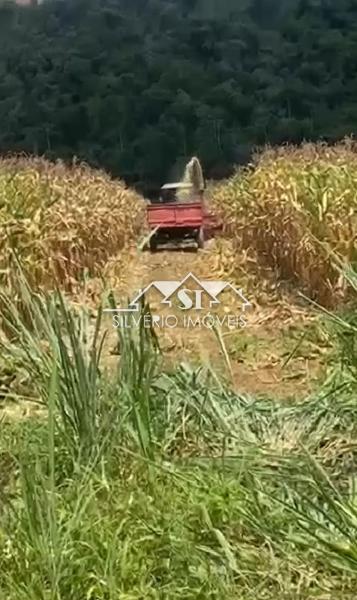 Fazenda à venda com 5 quartos, 350m² - Foto 5
