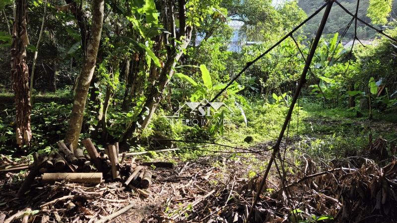 Casa à venda em Duarte da Silveira, Petrópolis - RJ - Foto 21