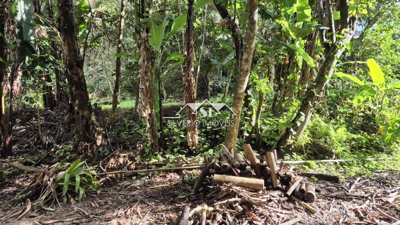 Casa à venda em Duarte da Silveira, Petrópolis - RJ - Foto 14