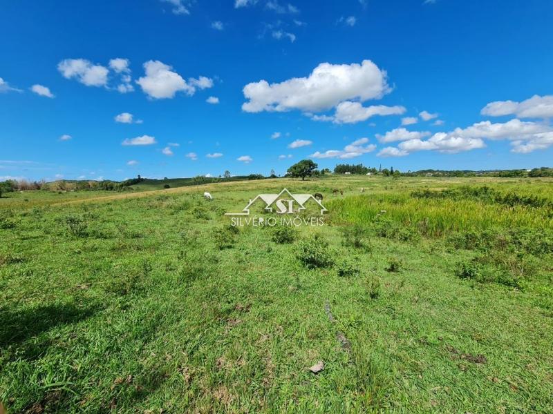 Fazenda à venda com 2 quartos, 400m² - Foto 15