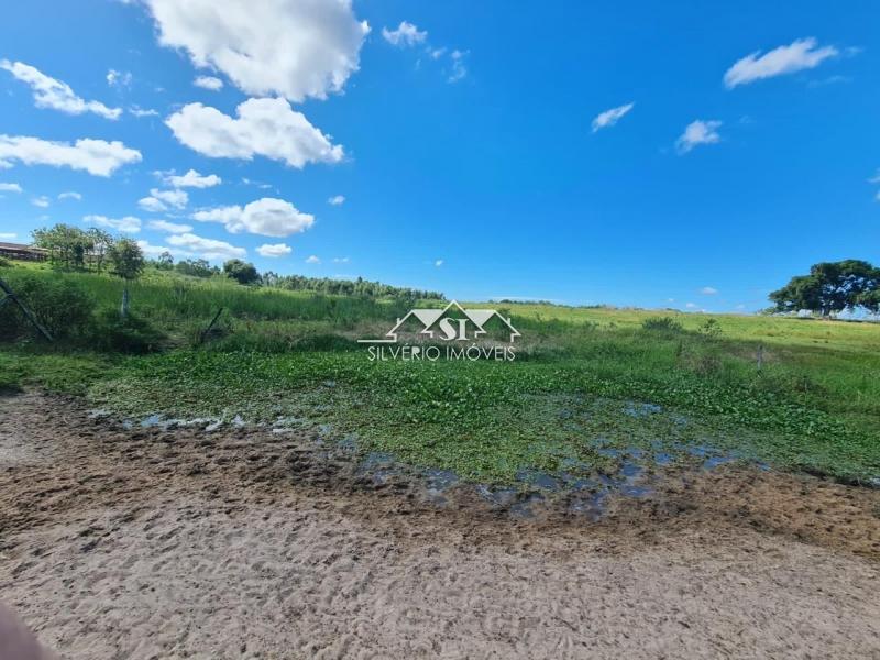 Fazenda à venda com 2 quartos, 400m² - Foto 16