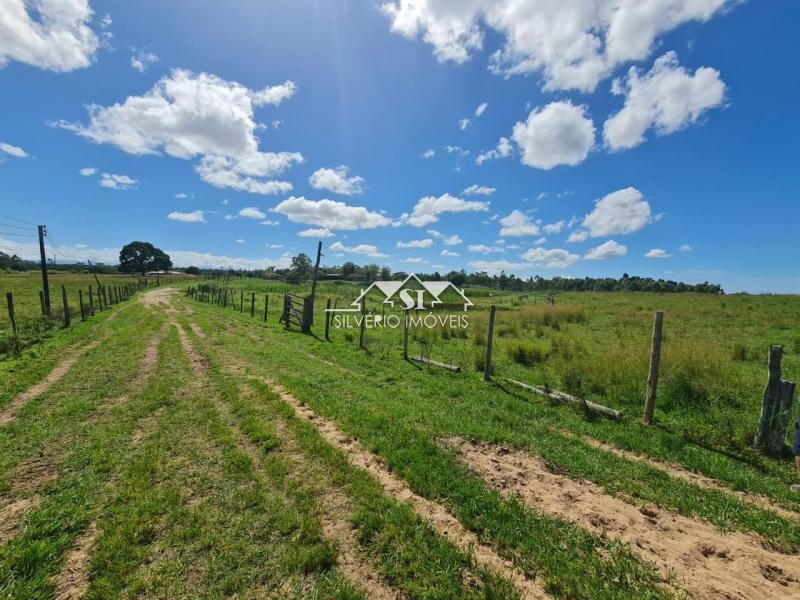 Fazenda à venda com 2 quartos, 400m² - Foto 17