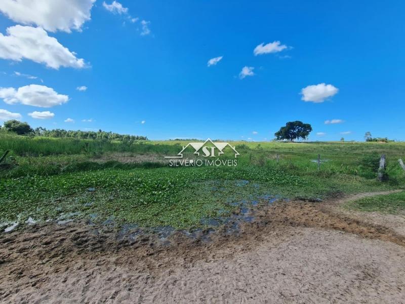 Fazenda à venda com 2 quartos, 400m² - Foto 18