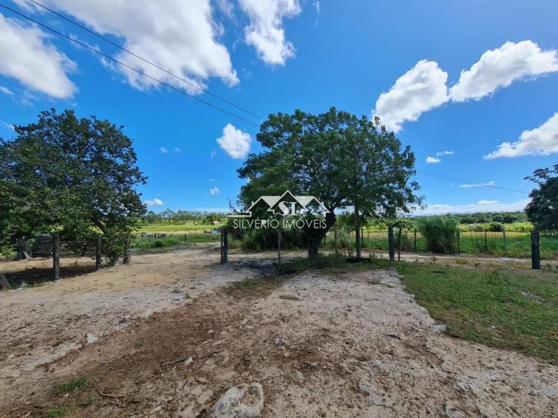 Fazenda à venda com 2 quartos, 400m² - Foto 19