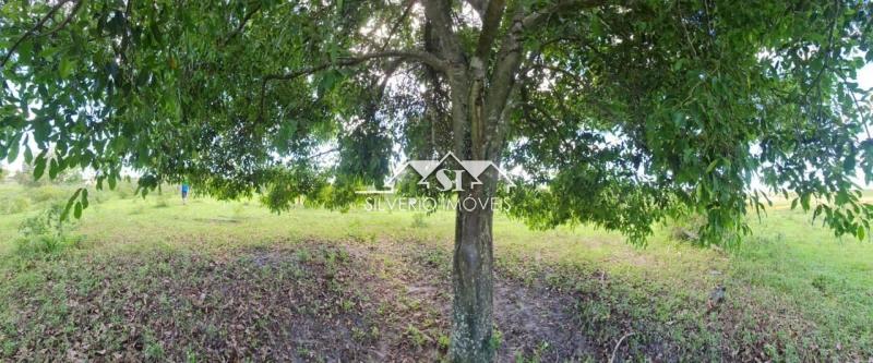 Fazenda à venda com 2 quartos, 400m² - Foto 20