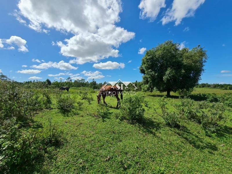 Fazenda à venda com 2 quartos, 400m² - Foto 21