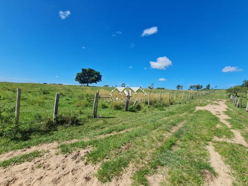 Fazenda à venda com 2 quartos, 400m² - Foto 23