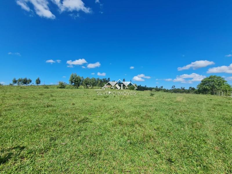 Fazenda à venda com 2 quartos, 400m² - Foto 25