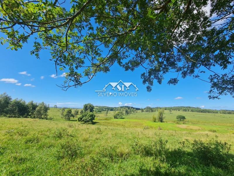 Fazenda à venda com 2 quartos, 400m² - Foto 28