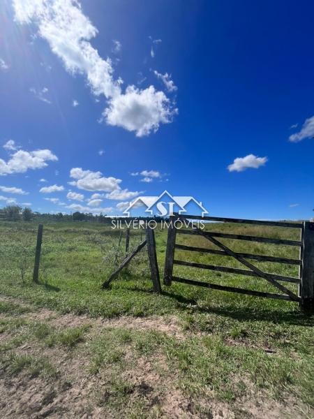 Fazenda à venda com 2 quartos, 400m² - Foto 6