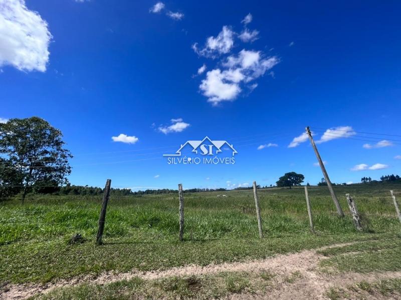 Fazenda à venda com 2 quartos, 400m² - Foto 3