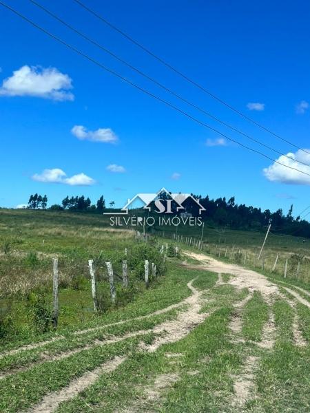 Fazenda à venda com 2 quartos, 400m² - Foto 4