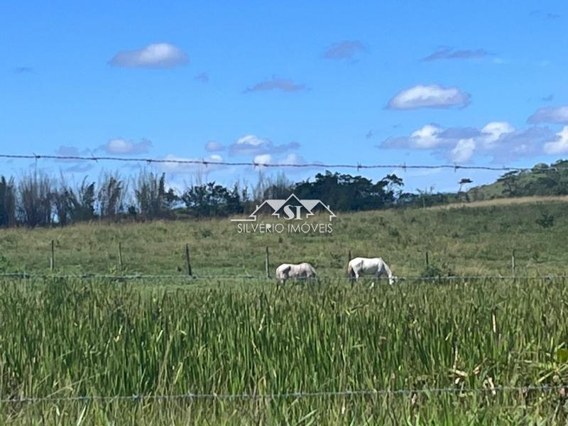 Fazenda à venda com 2 quartos, 400m² - Foto 34