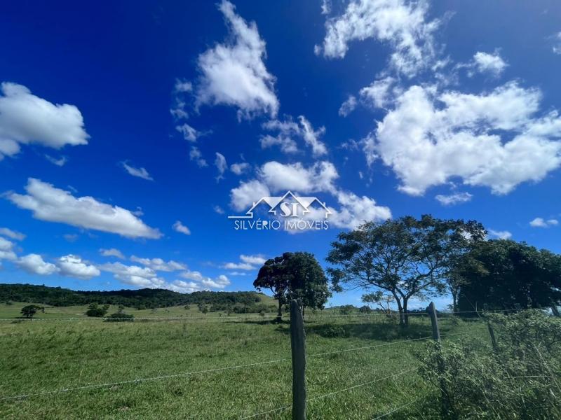 Fazenda à venda com 2 quartos, 400m² - Foto 39