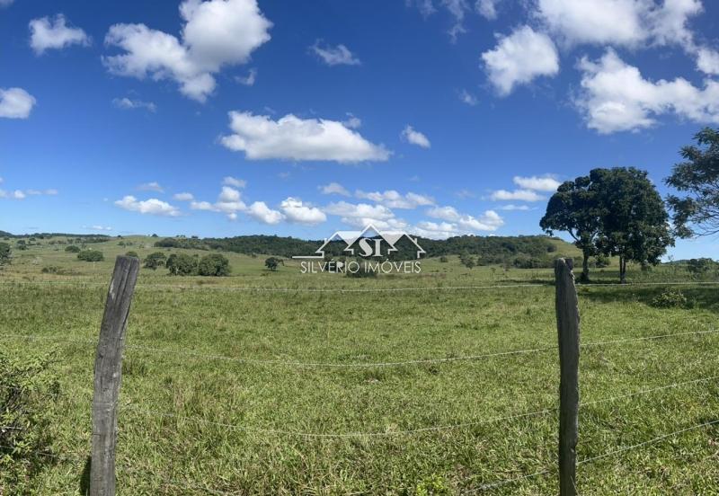 Fazenda à venda com 2 quartos, 400m² - Foto 40