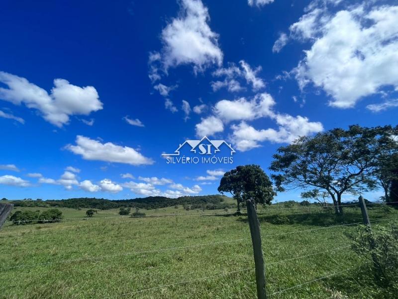 Fazenda à venda com 2 quartos, 400m² - Foto 41