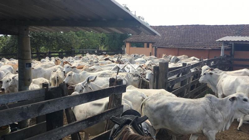 Fazenda à venda com 2 quartos, 400m² - Foto 49