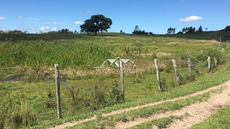 Fazenda à venda com 2 quartos, 400m² - Foto 5