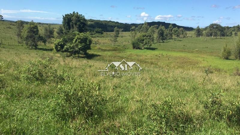 Fazenda à venda com 2 quartos, 400m² - Foto 43
