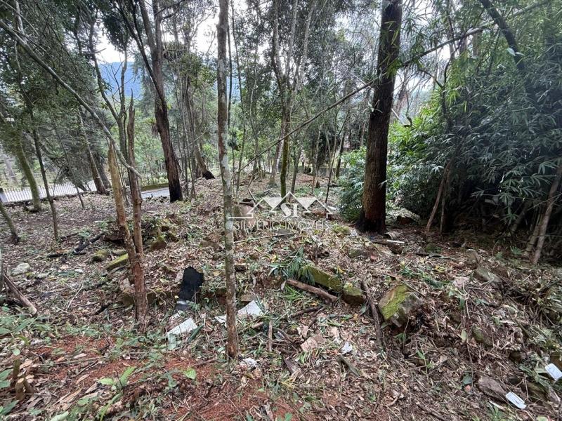 Terreno Residencial à venda em Quitandinha, Petrópolis - RJ - Foto 8