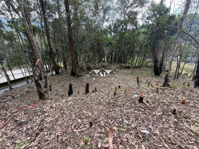 Terreno Residencial à venda em Quitandinha, Petrópolis - RJ - Foto 7