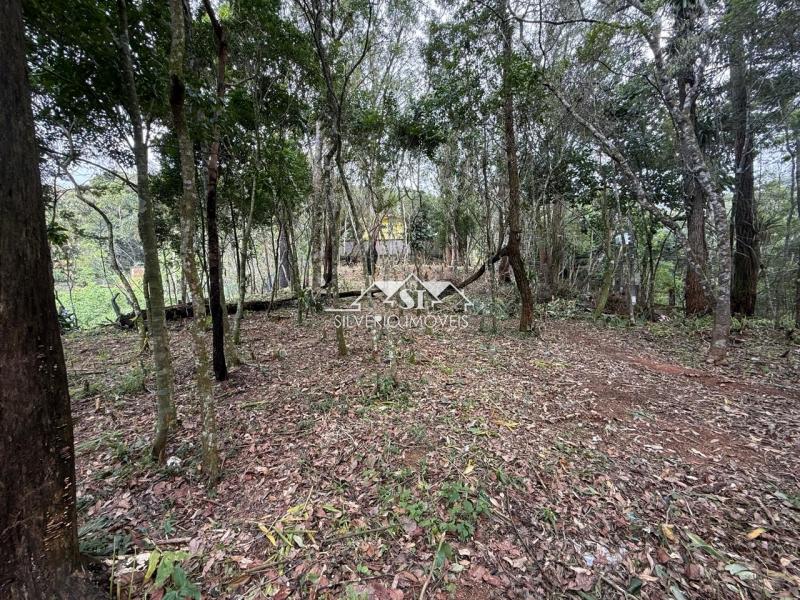 Terreno Residencial à venda em Quitandinha, Petrópolis - RJ - Foto 6