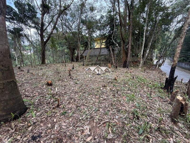 Terreno Residencial à venda em Quitandinha, Petrópolis - RJ - Foto 4