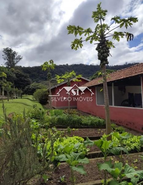 Sítio à venda com 6 quartos, 352m² - Foto 6