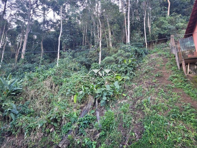 Terreno Residencial à venda em Valparaíso, Petrópolis - RJ - Foto 6