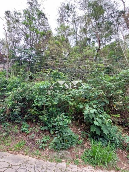Terreno Residencial à venda em Retiro, Petrópolis - RJ - Foto 6