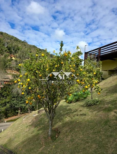 Casa à venda em Araras, Petrópolis - RJ - Foto 19
