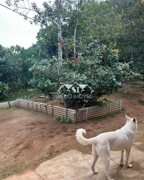 Casa à venda em Quitandinha, Petrópolis - RJ - Foto 5