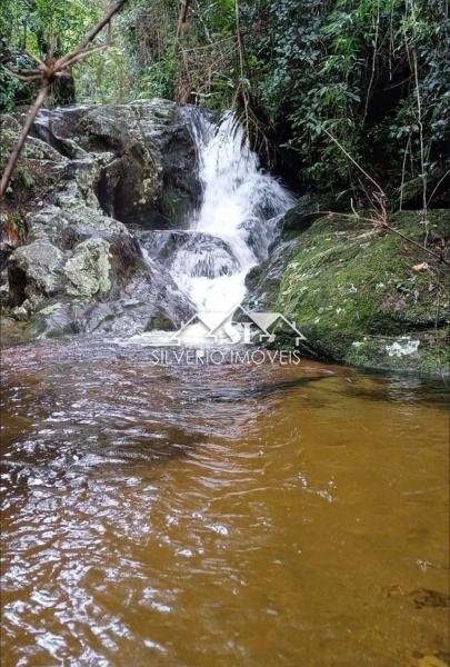 Fazenda / Sítio à venda em Cardinott, Nova Friburgo - RJ - Foto 5