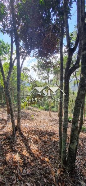 Terreno Residencial à venda em Bonsucesso, Petrópolis - RJ - Foto 2