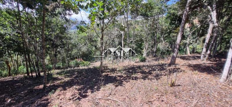 Terreno Residencial à venda em Bonsucesso, Petrópolis - RJ - Foto 3