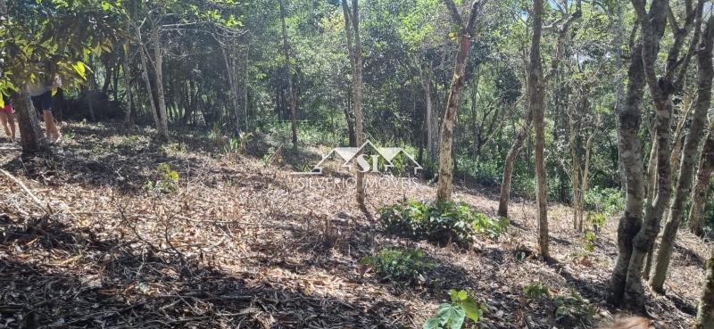 Terreno Residencial à venda em Bonsucesso, Petrópolis - RJ - Foto 4
