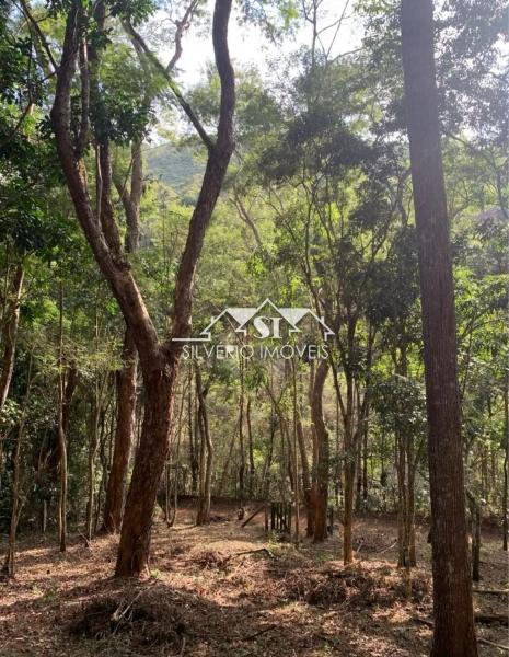 Terreno Residencial à venda em Araras, Petrópolis - RJ - Foto 2