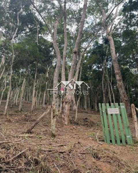 Terreno Residencial à venda em Araras, Petrópolis - RJ - Foto 3