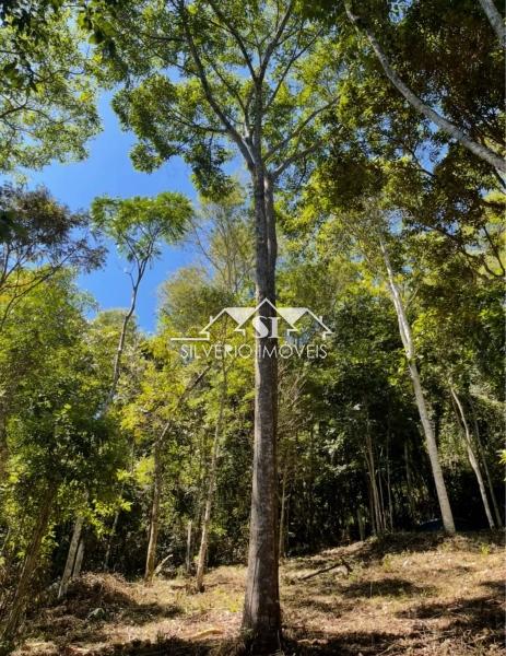 Terreno Residencial à venda em Araras, Petrópolis - RJ - Foto 5