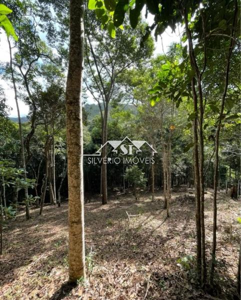 Terreno Residencial à venda em Araras, Petrópolis - RJ - Foto 6