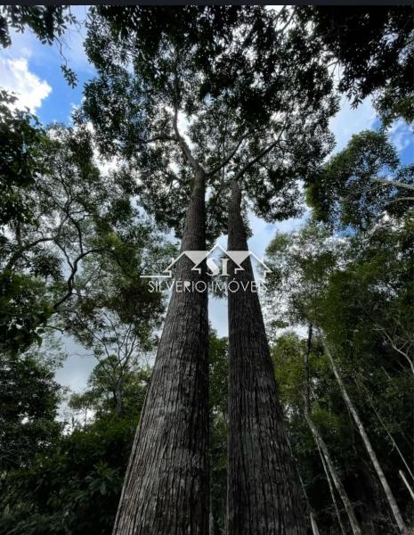 Terreno Residencial à venda em Araras, Petrópolis - RJ - Foto 9
