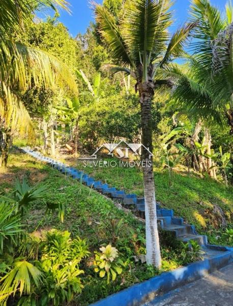 Fazenda / Sítio à venda em Duques, Rio de Janeiro - RJ - Foto 10