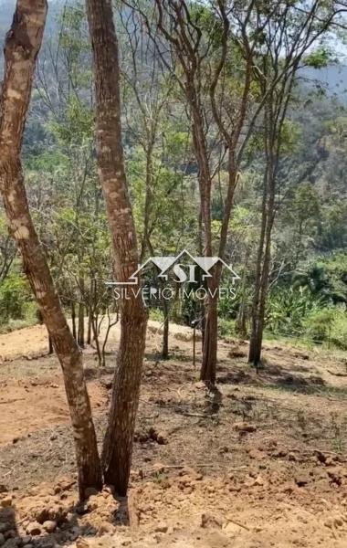 Terreno Residencial à venda em Itaipava, Petrópolis - RJ - Foto 12