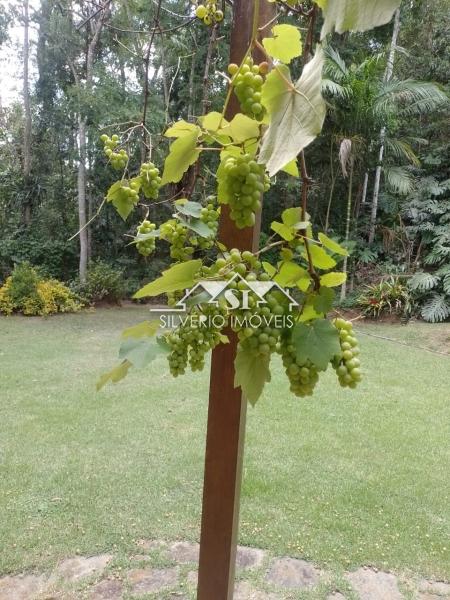 Casa à venda em Pedro do Rio, Petrópolis - RJ - Foto 33