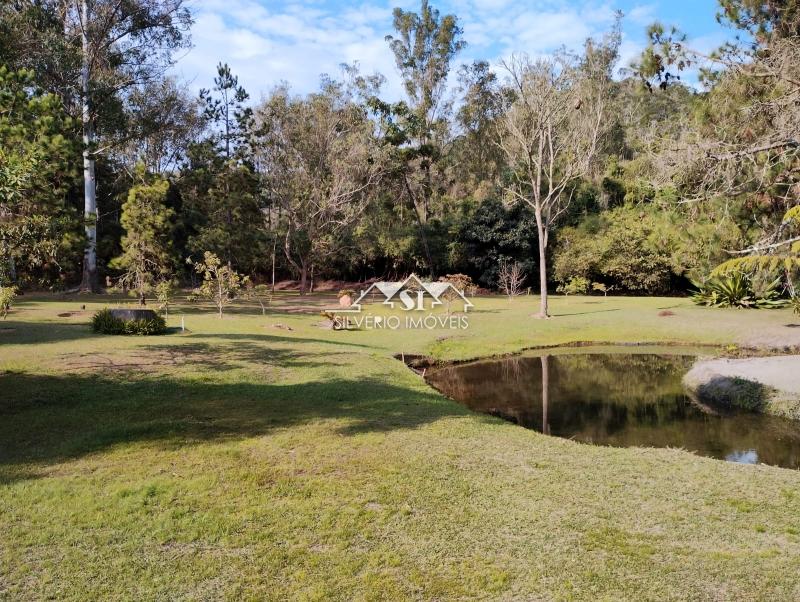 Sítio, 3 quartos, 4000 m² - Foto 3