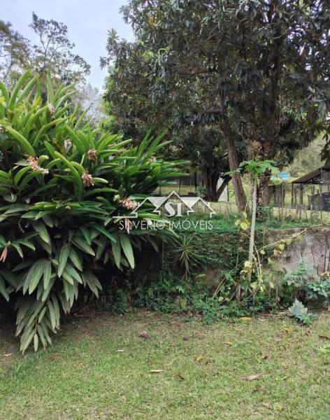 Sítio, 3 quartos, 6 hectares - Foto 4