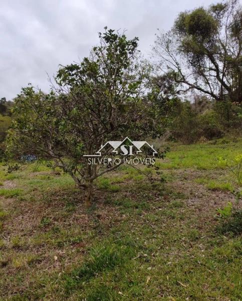 Fazenda / Sítio à venda em Secretário, Petrópolis - RJ - Foto 12